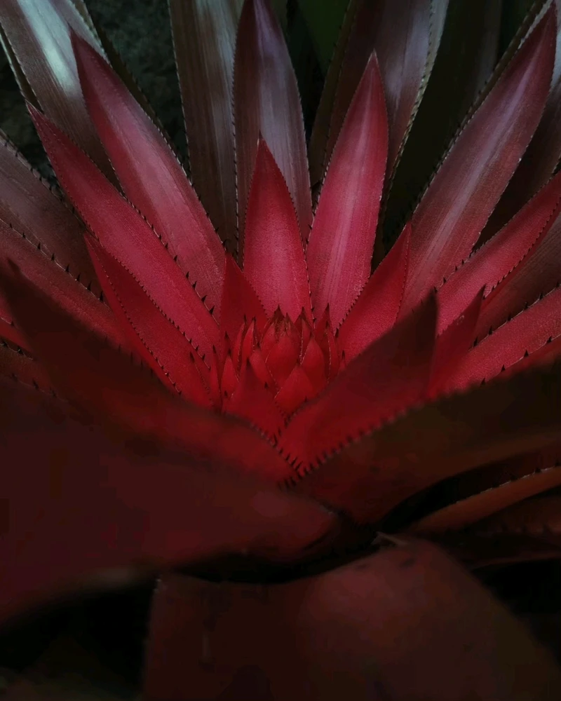 Image uploaded by Ursix