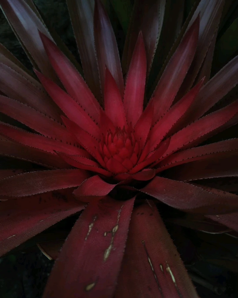 Image uploaded by Ursix