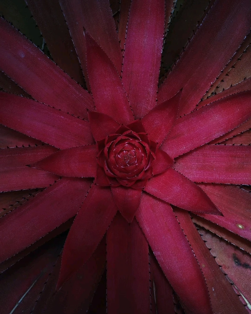 Image uploaded by Ursix