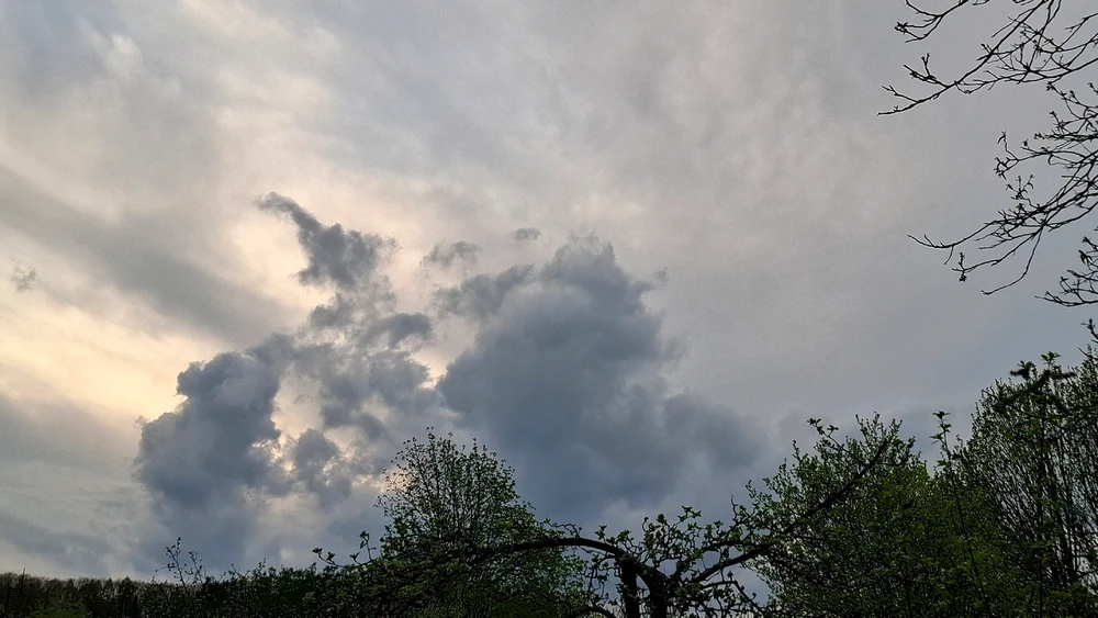 Obrázek nahrál ©️Iva 🦉