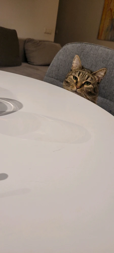 Image uploaded by Simona