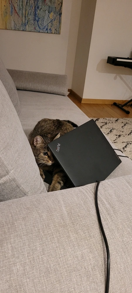 Image uploaded by Simona