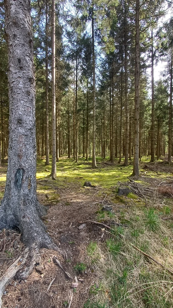 GIF caricata da Stephan