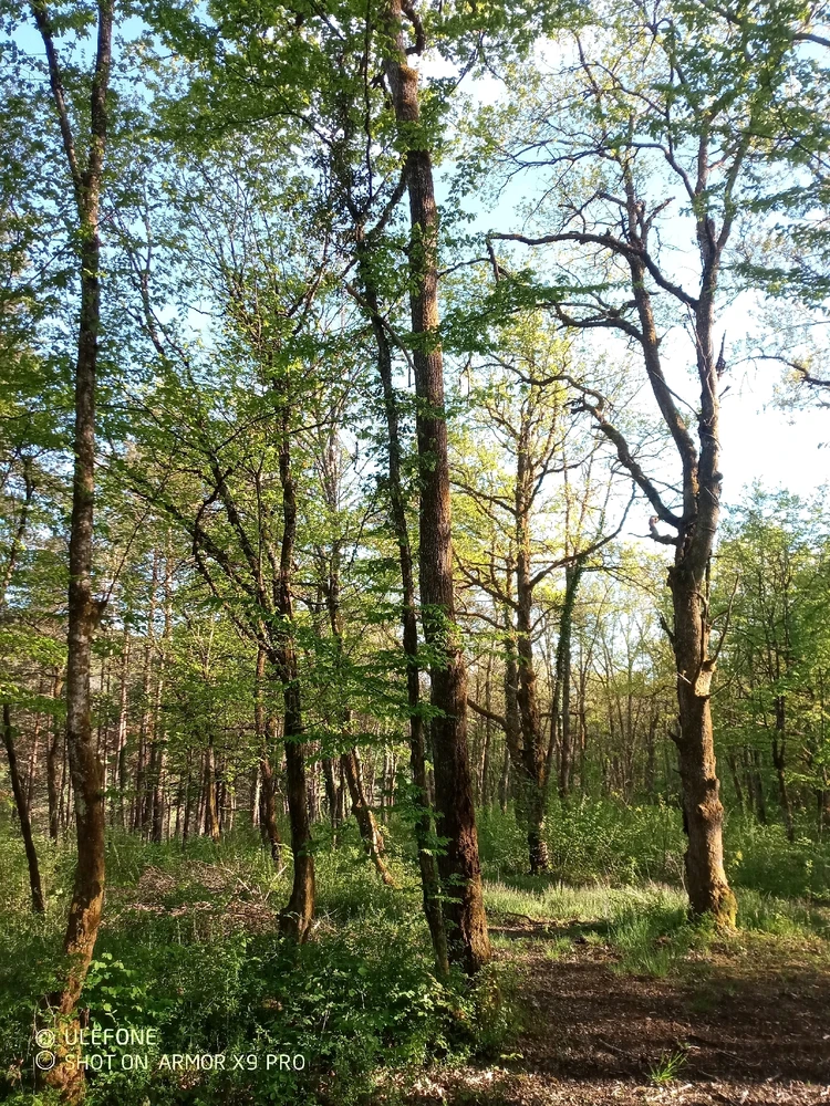 Image ajoutée par Virgil