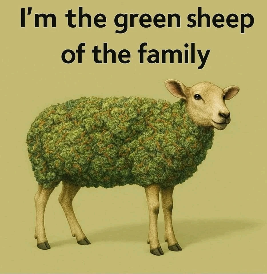 GIF hochgeladen von Marcel