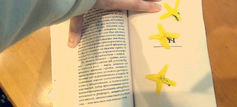 Image uploaded by Ева (Eva)