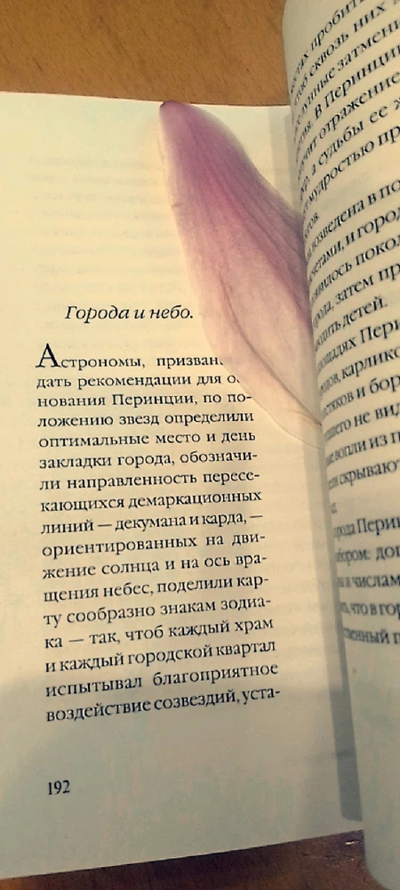 Image uploaded by Ева (Eva)