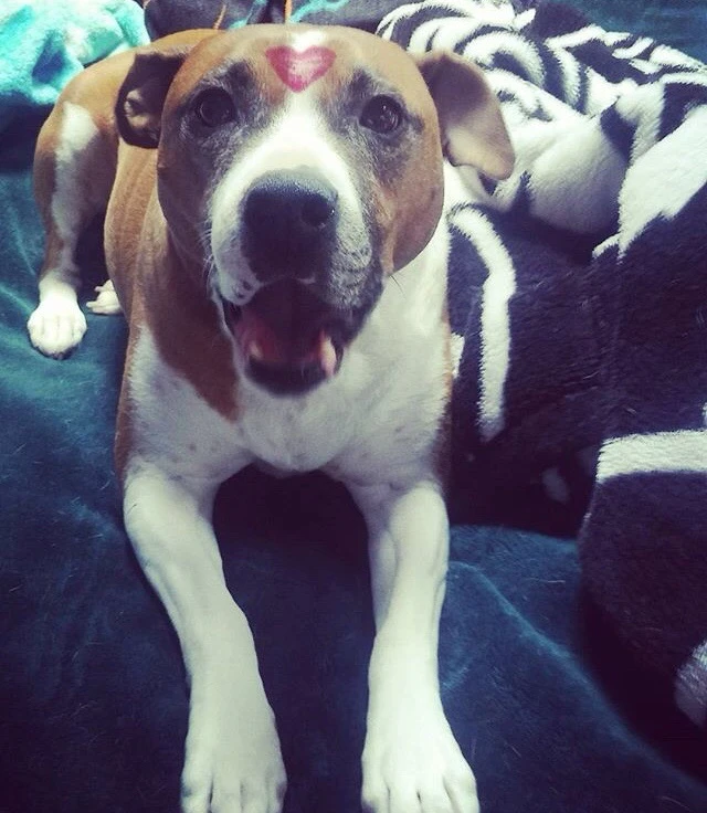 Image uploaded by • A{eye} • M € € •