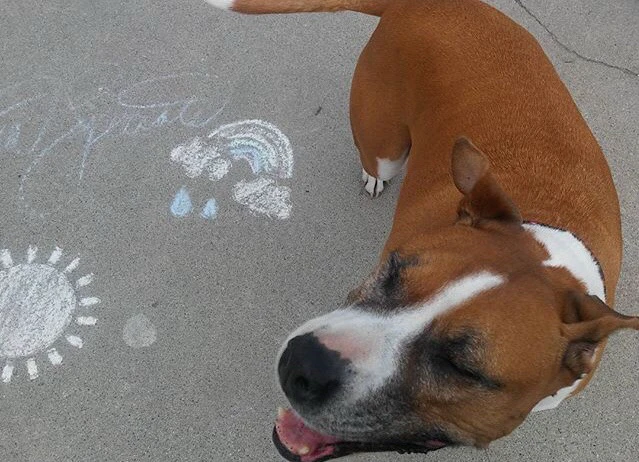 Image uploaded by • A{eye} • M € € •