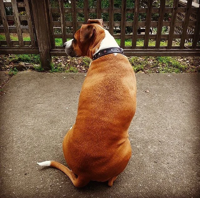 Image uploaded by • A{eye} • M € € •