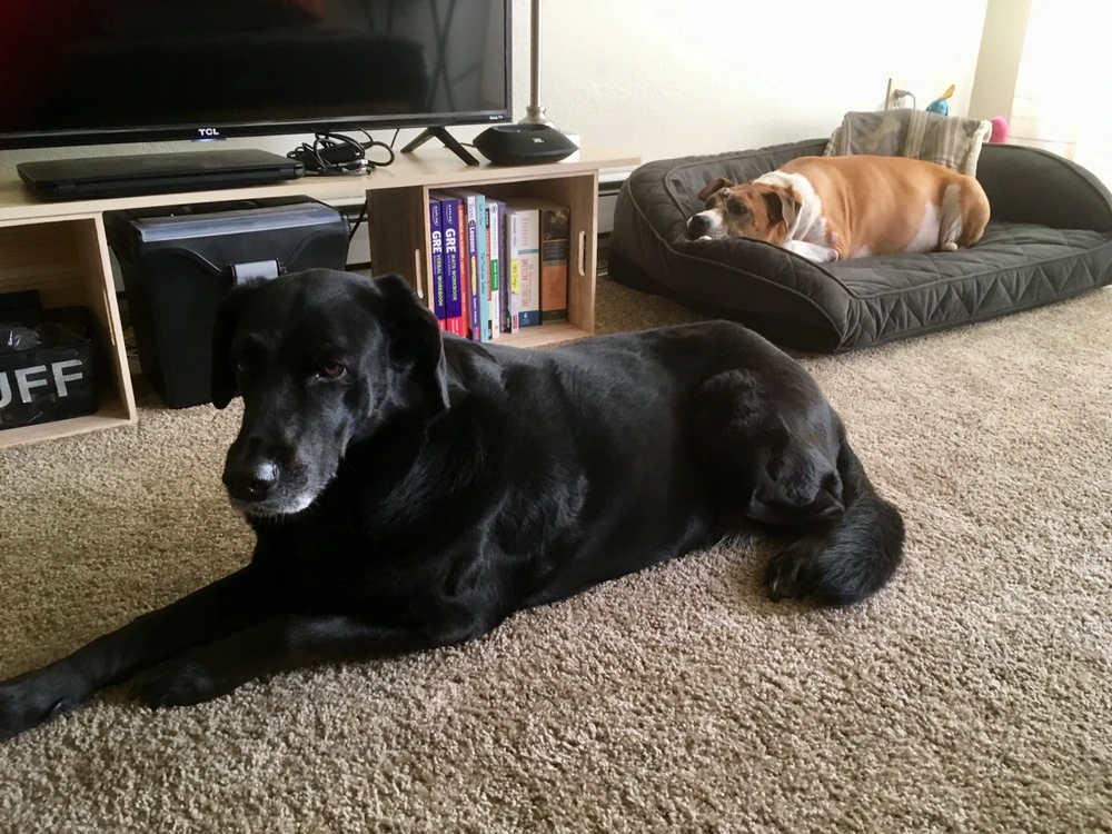 Image uploaded by • A{eye} • M € € •