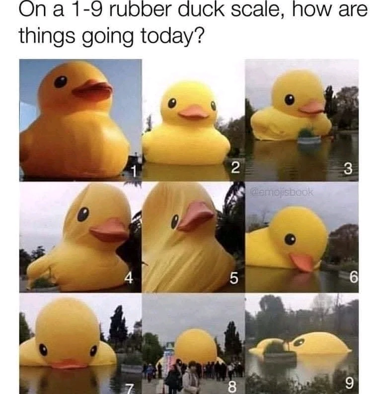 GIF uploaded by Anna
