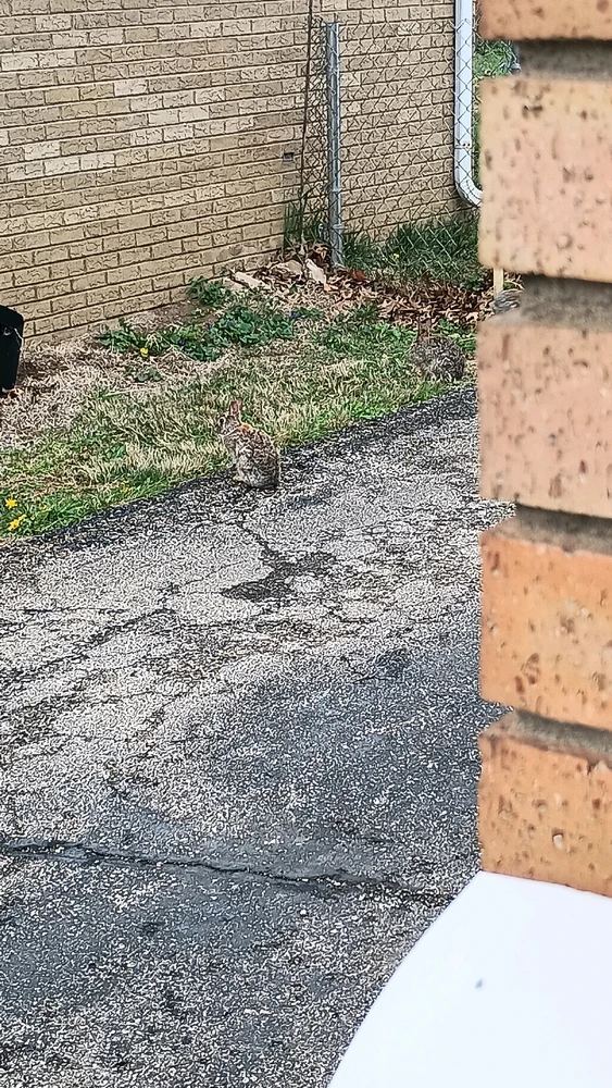 Gambar diunggah dening Reo