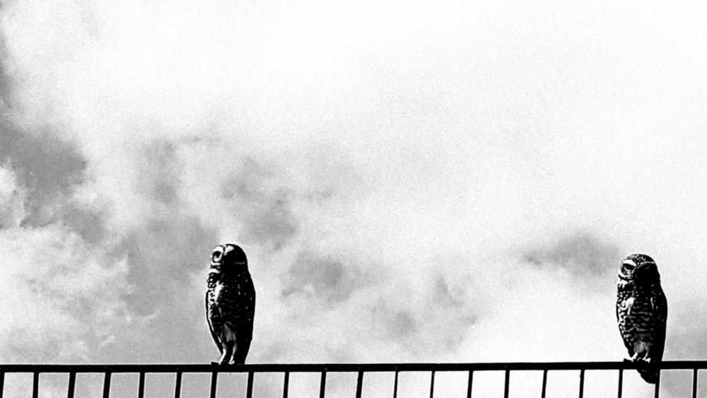 GIF enviado por Gabriel