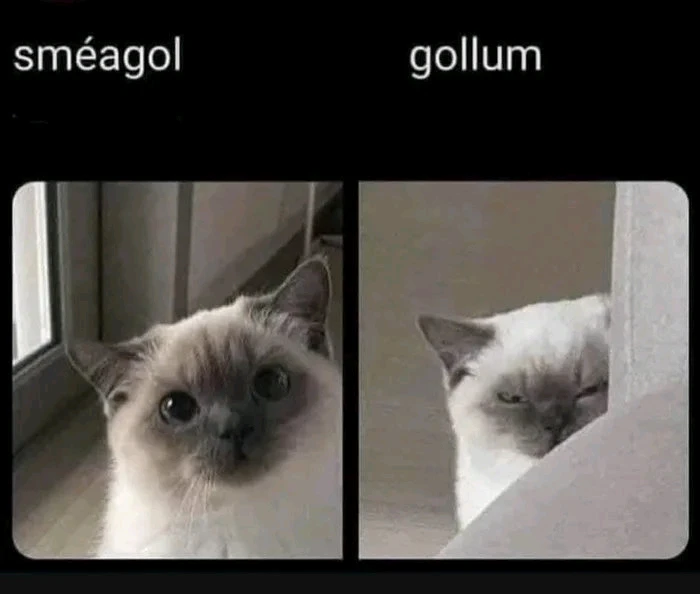 GIF hochgeladen von Axel