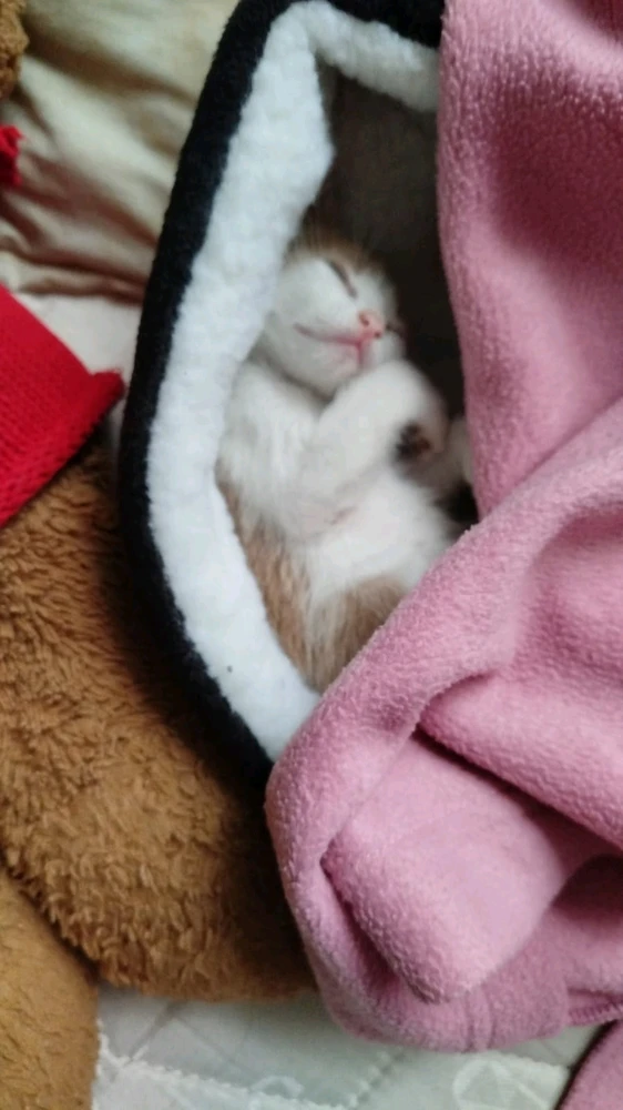 GIF subido por Angela