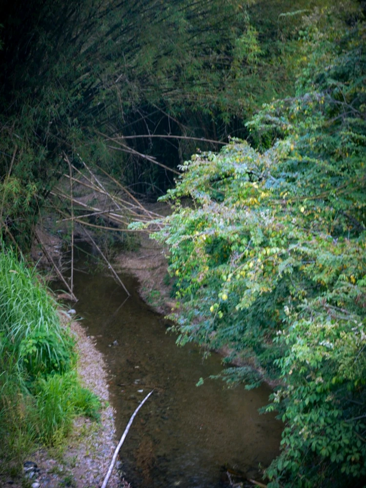 Me encanta salir y tomar fotografías 💕📷
