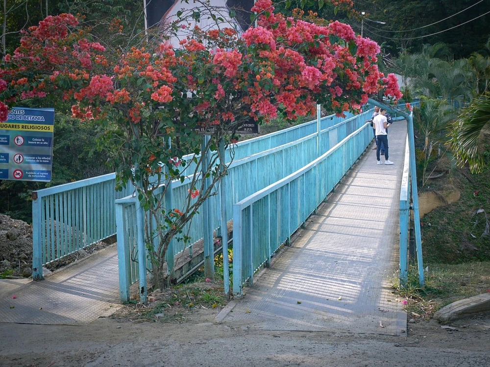 Me encanta salir y tomar fotografías 💕📷