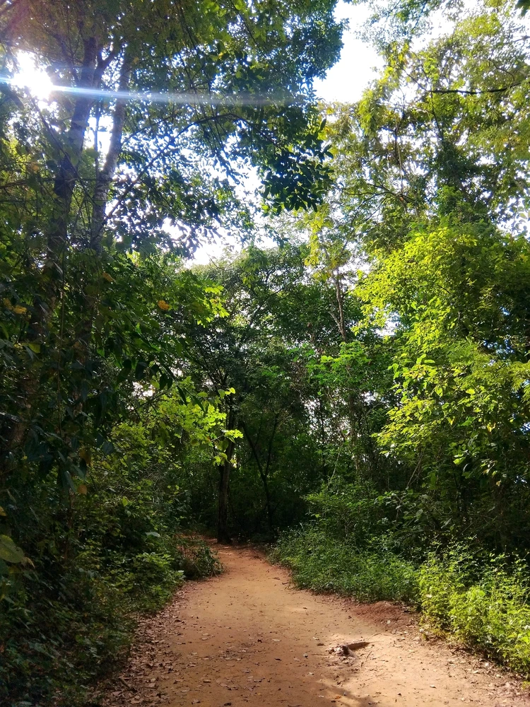 Me encanta salir y tomar fotografías 💕📷