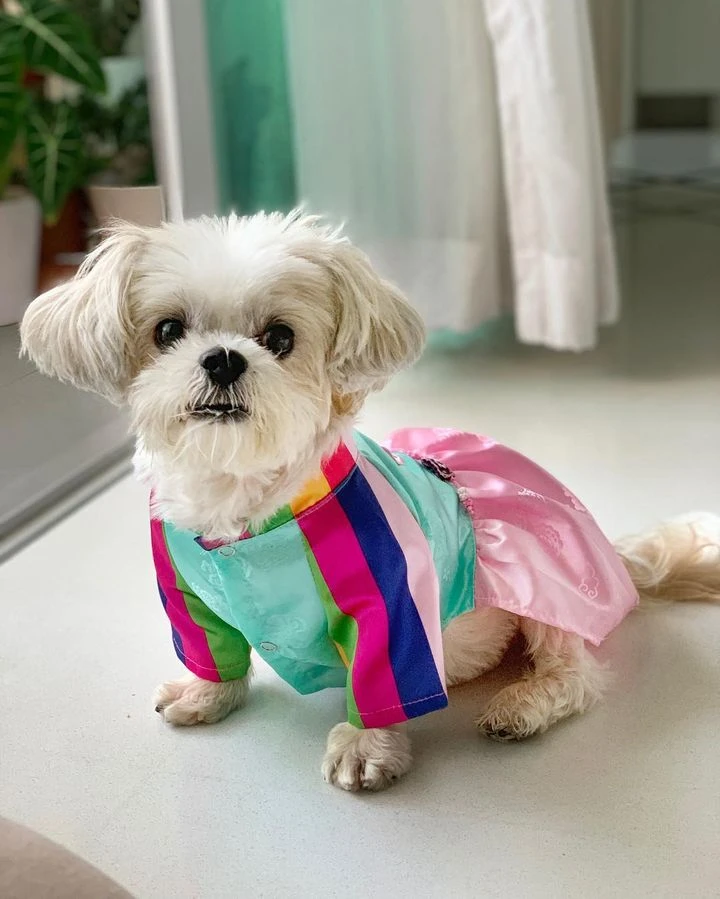 わたなべ かずきがアップロードした画像