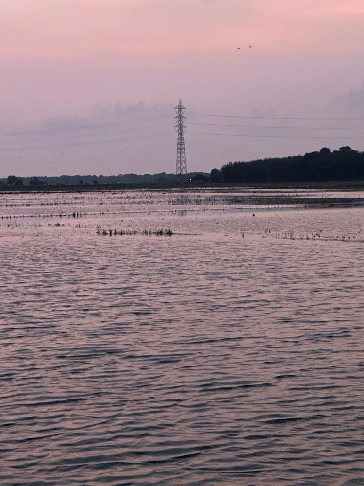 Ameghavarsh KR അപ്ലോഡ് ചെയ്ത ചിത്രം