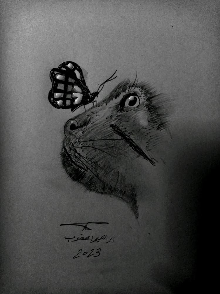 Ibrahimがアップロードした画像