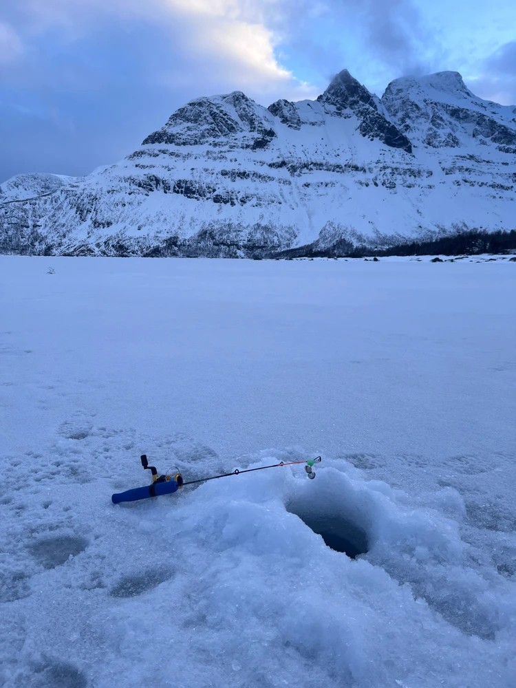 GIF dodany przez Filip