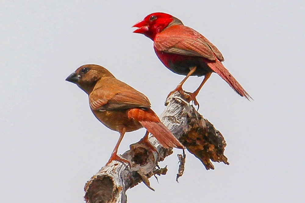 GIF uploaded by Kris