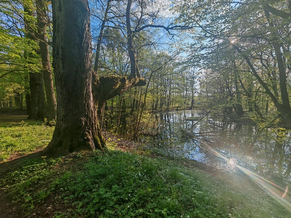 Фото загрузил Анатолий