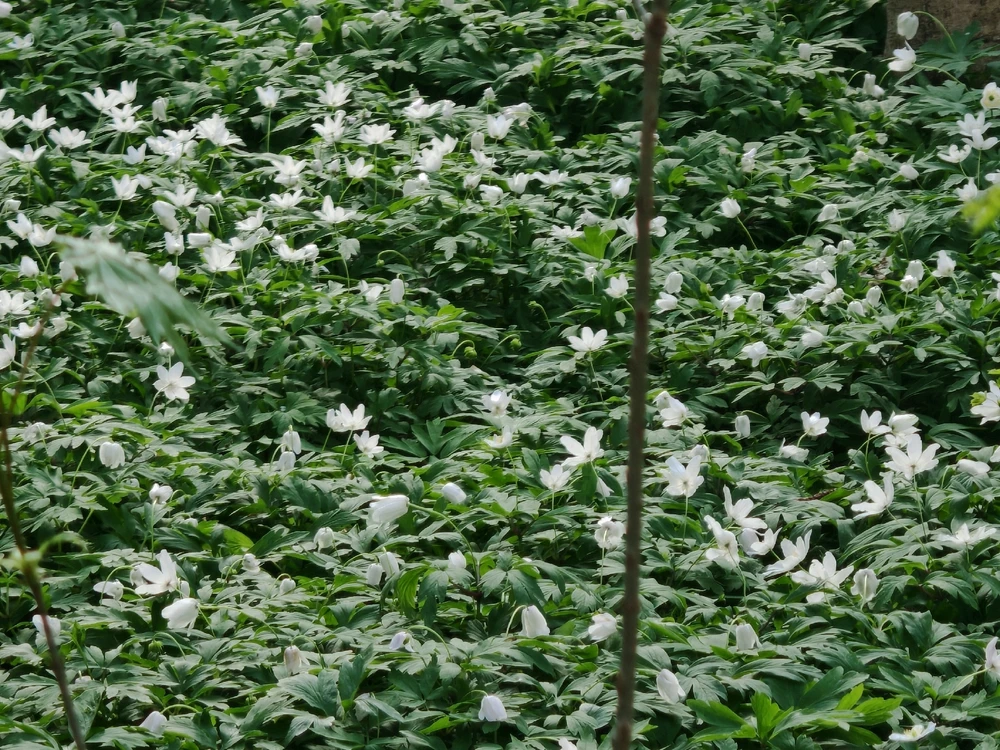 Фото загрузил Анатолий