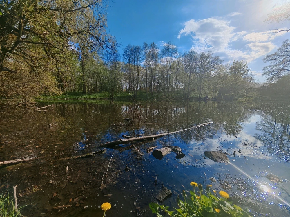 Фото загрузил Анатолий