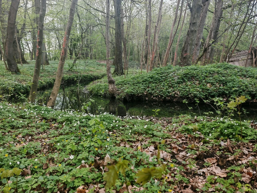 Фото загрузил Анатолий