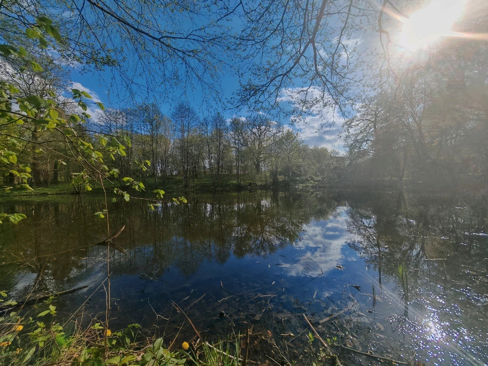 Фото загрузил Анатолий