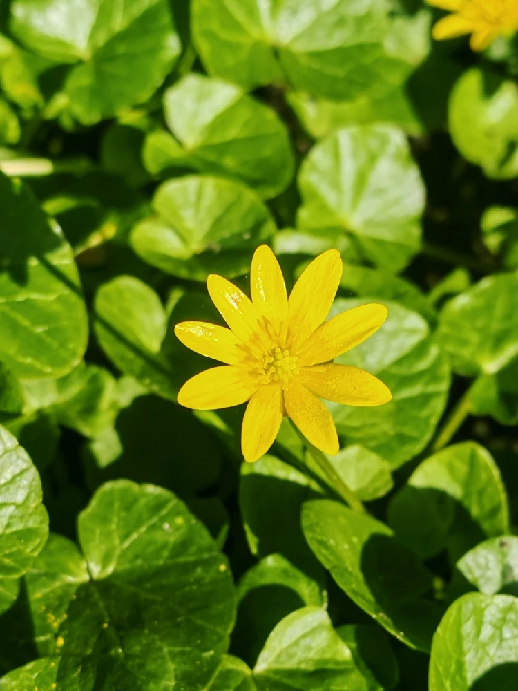 Фото загрузил Анатолий