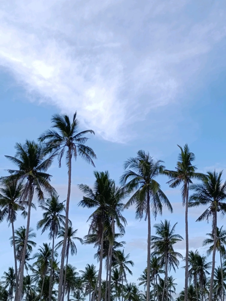 Gambar diunggah dening Aira