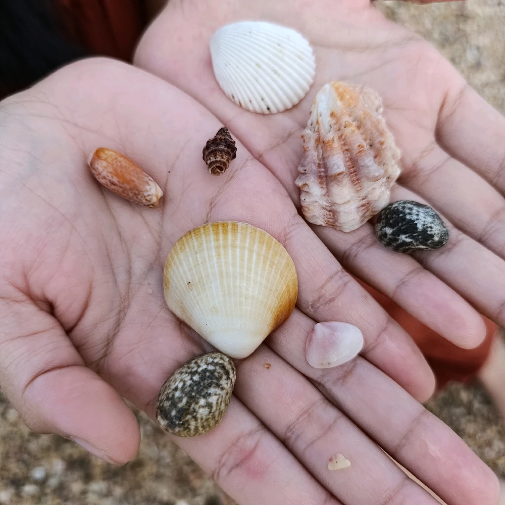 Gambar diunggah dening Aira