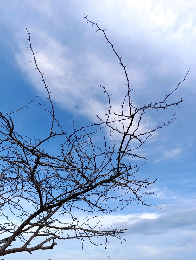 Gambar diunggah dening Aira