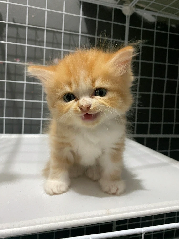 GIF uploaded by Hana