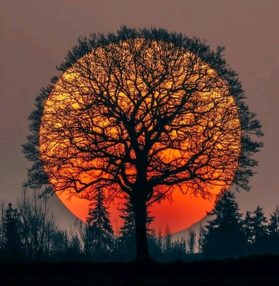 Image uploaded by 🔆🥨🔅Koffy🔅🌰🔆