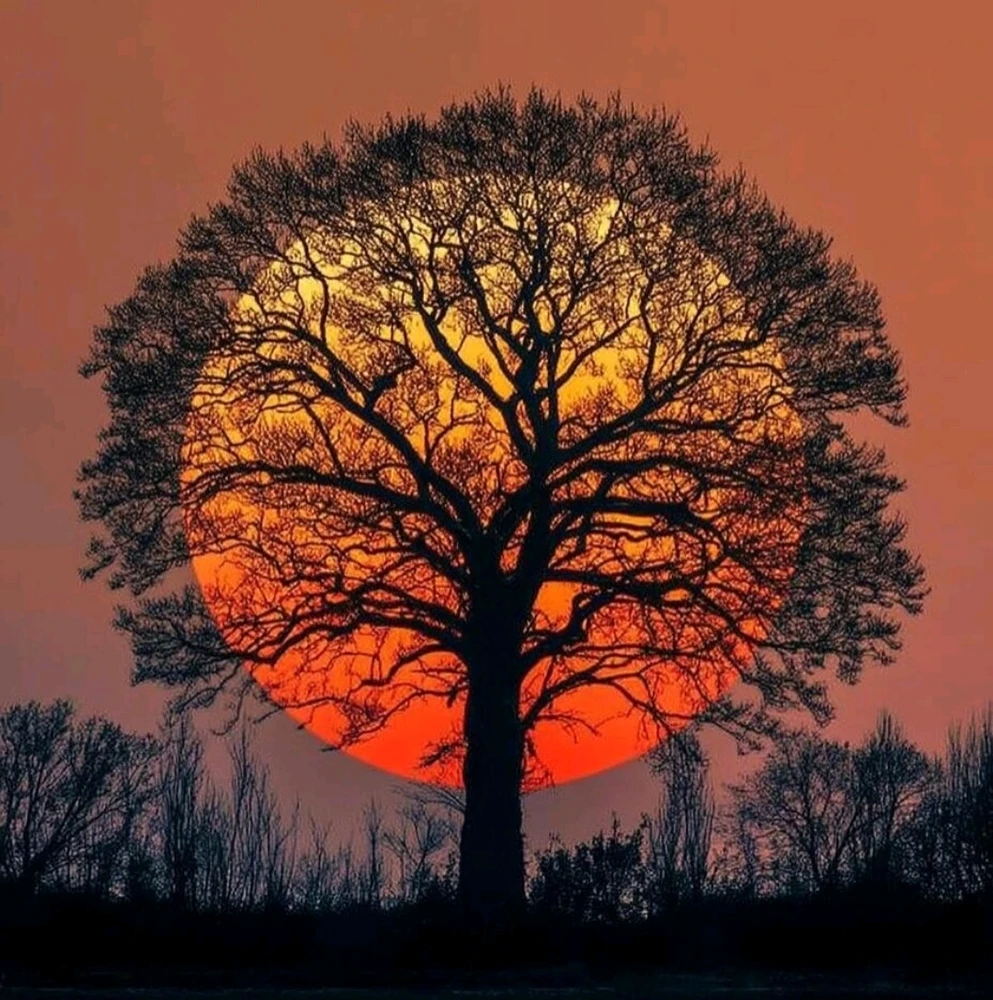 Image uploaded by 🔆🥨🔅Koffy🔅🌰🔆