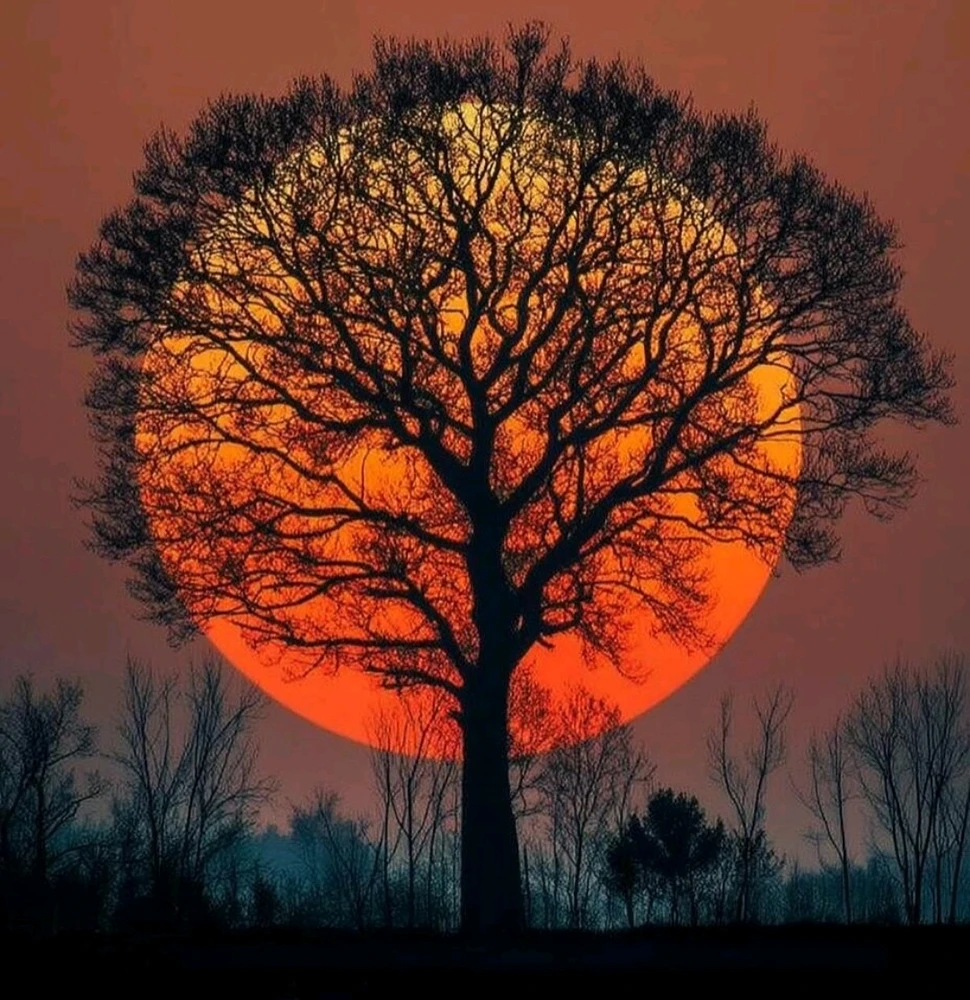 Image uploaded by 🔆🥨🔅Koffy🔅🌰🔆