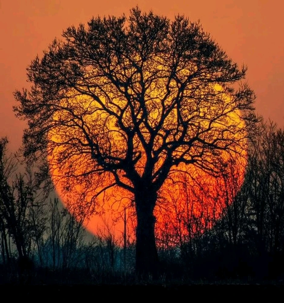 Image uploaded by 🔆🥨🔅Koffy🔅🌰🔆