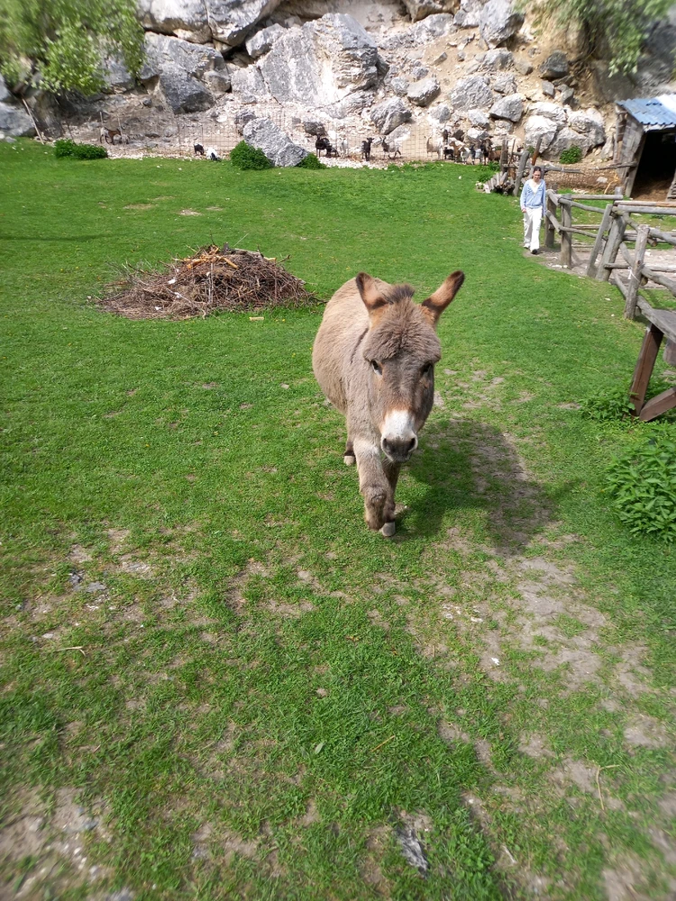 Obrázek nahrál Svatava