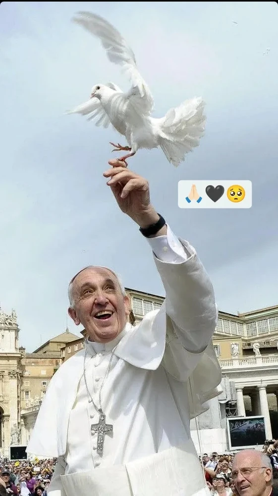 GIF enviado por Júlia