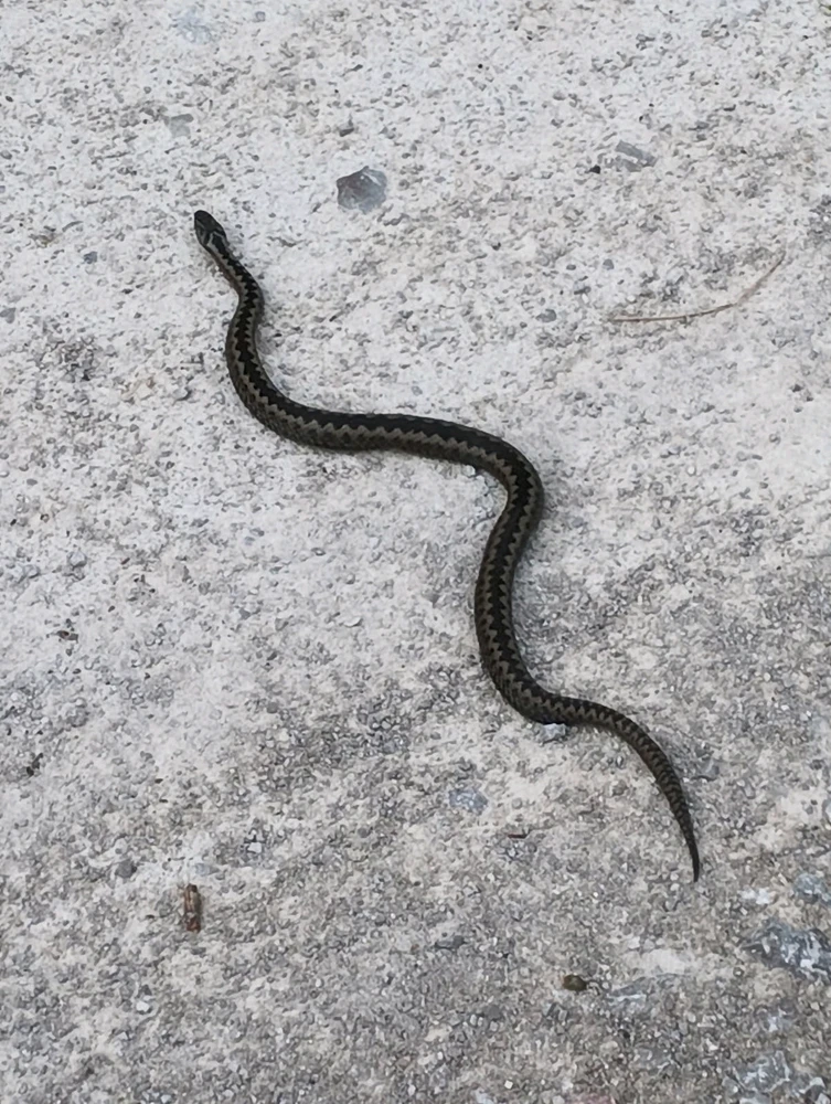 GIF dodany przez Asia