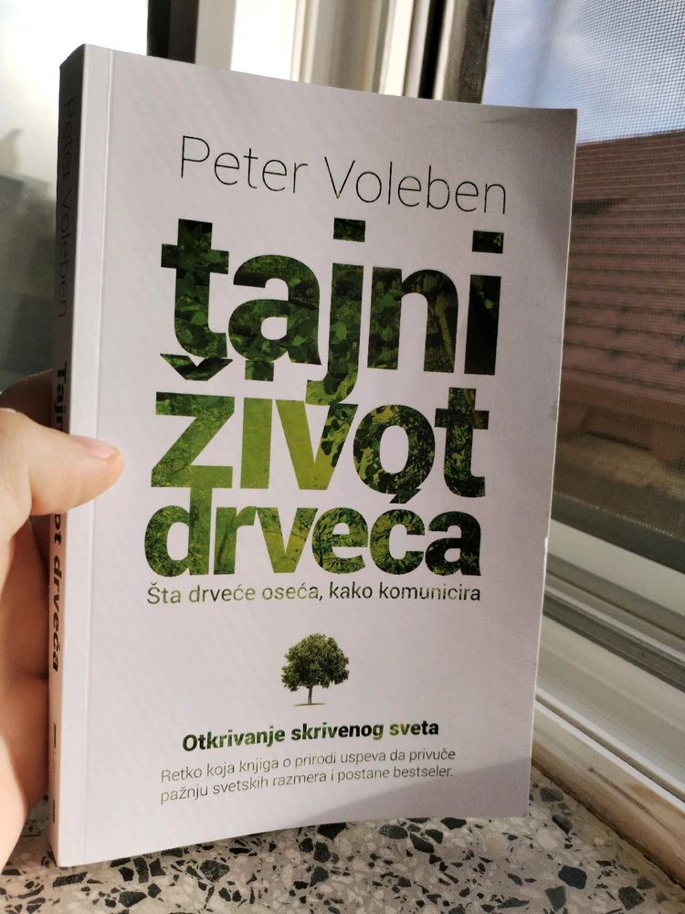 Sliku je postavio/la Mihailo