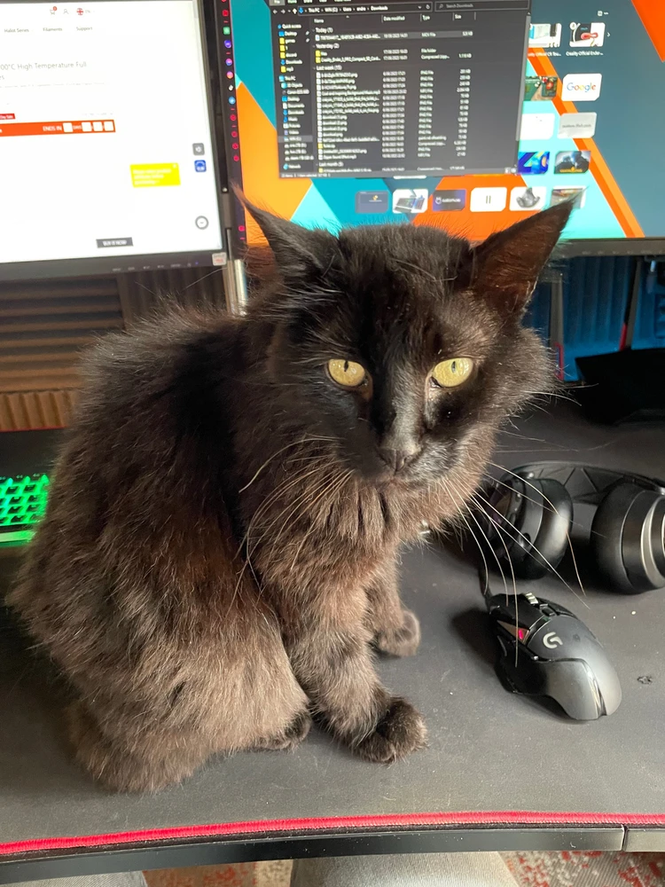  I will destroy everything you love 