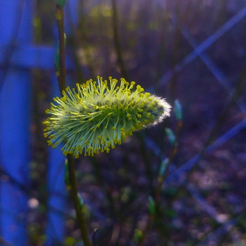 Фото загрузил Андрей