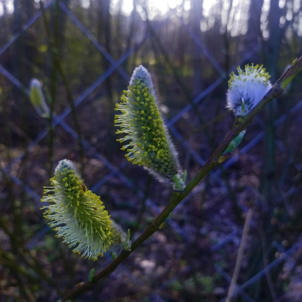Фото загрузил Андрей