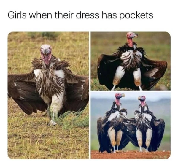 Image uploaded by Njord